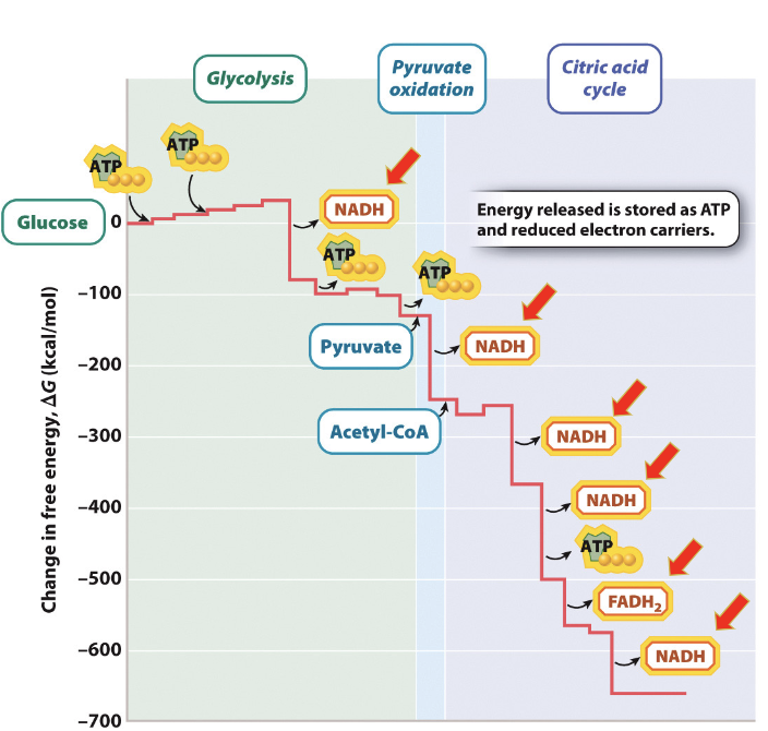 Energy_Diagram