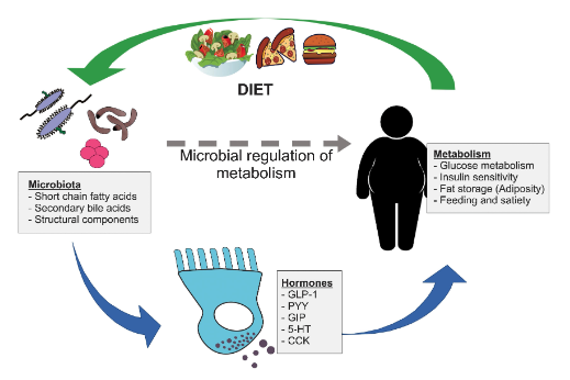 Microbiome