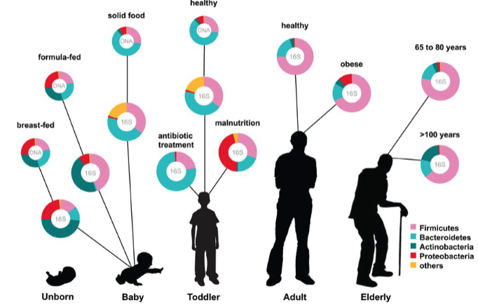 Microbiome_by_Age