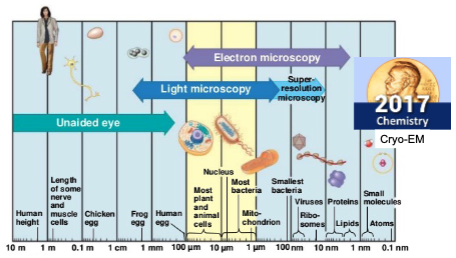 Microscopy