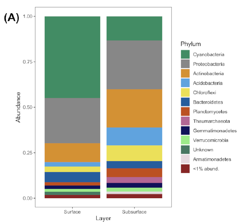 Photosynthetic_Microbe_Distribution