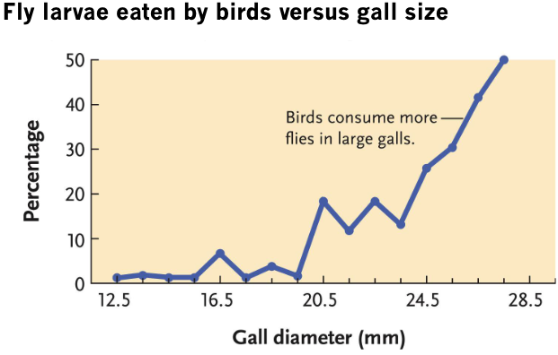 LarvaeEatenVsGallSize